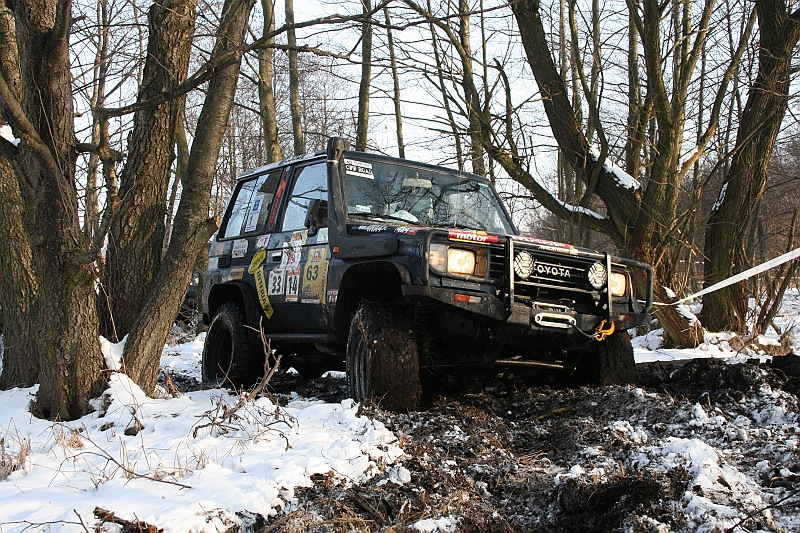 WOSP_Pasternik_2009 222